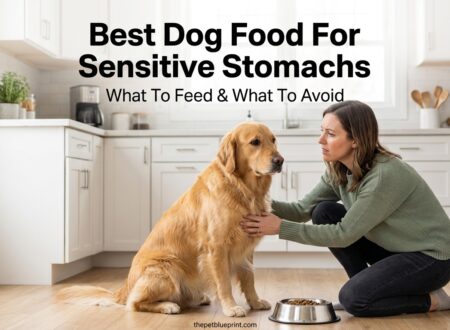 Best Dog Food for Sensitive Stomachs
